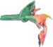 Green - Orange