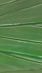 Vert herbe