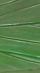Vert herbe